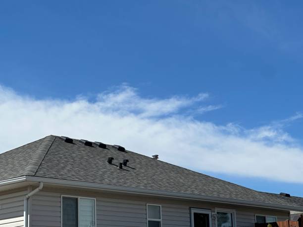 Best Sheet Metal Roofing  in Rogers, AR